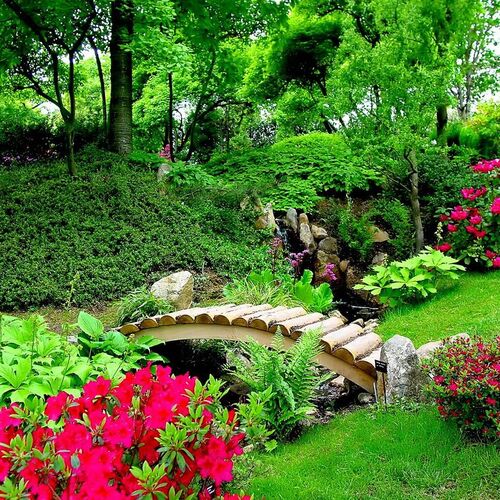 Декоративный сад: концепции и подбор растений