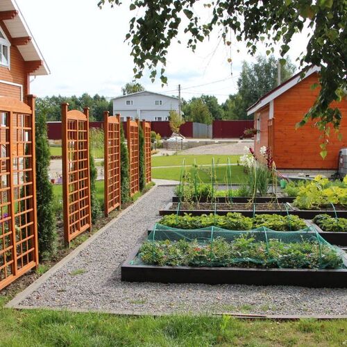10 принципов малоуходного сада