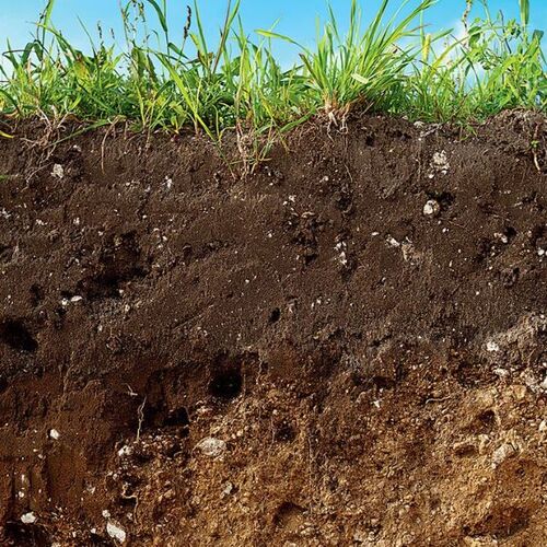 Особенности почвы в Московской области